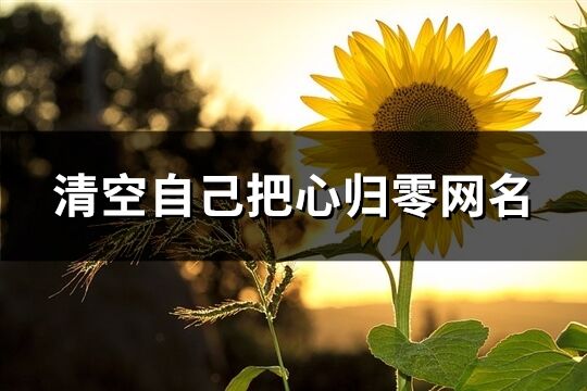 清空自己把心归零网名(465个)