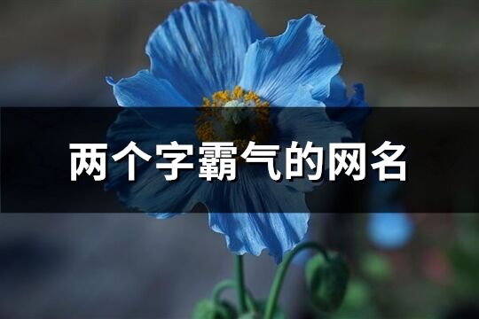 两个字霸气的网名(优选911个)