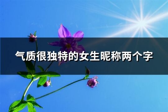 气质很独特的女生昵称两个字(精选493个)