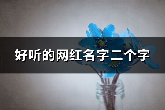 好听的网红名字二个字(共673个)