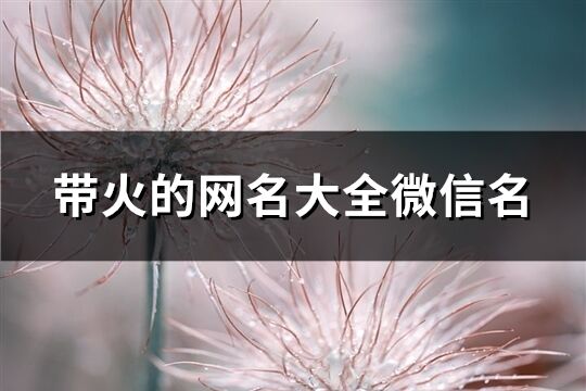 带火的网名大全微信名(优选84个)