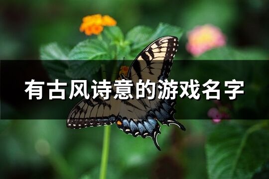 有古风诗意的游戏名字(优选984个) 有古风诗意的游戏名字(优选984个)