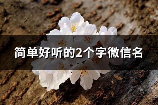 简单好听的2个字微信名(共1845个)
