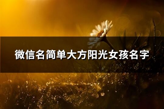 微信名简单大方阳光女孩名字(优选724个)