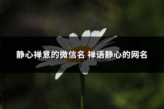 静心禅意的微信名 禅语静心的网名(精选204个)