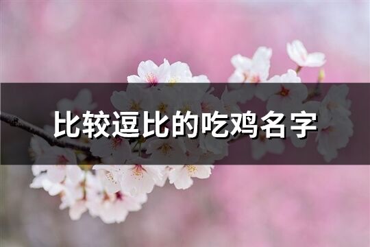 比较逗比的吃鸡名字(201个)