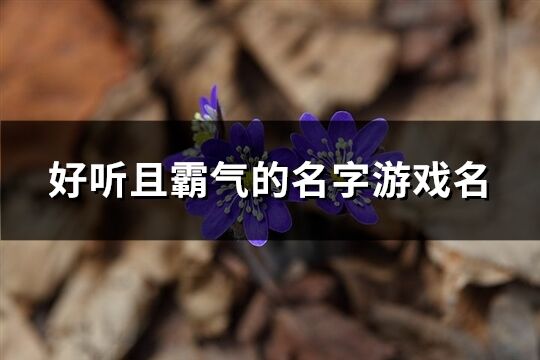 好听且霸气的名字游戏名(共662个)