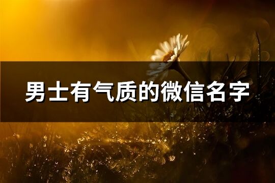 男士有气质的微信名字(791个)