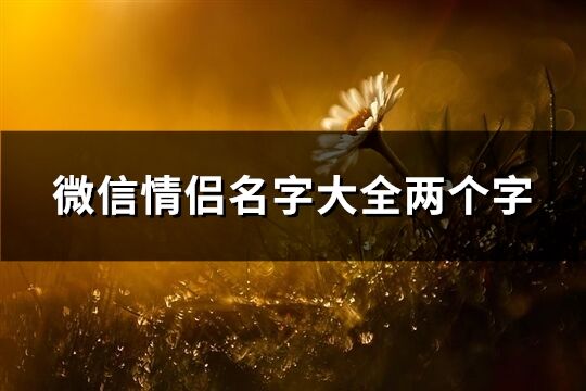 微信情侣名字大全两个字(精选411个)