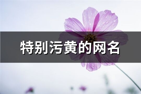 特别污黄的网名(精选345个)