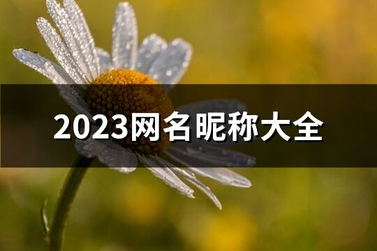 2023网名昵称大全(1327个)