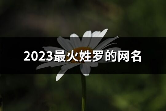 2023最火姓罗的网名(共102个)