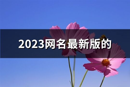 2023网名最新版的(1329个)