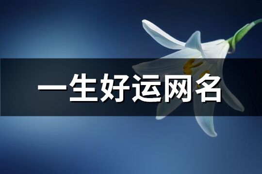 一生好运网名(489个)