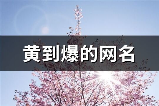 黄到爆的网名(共342个)