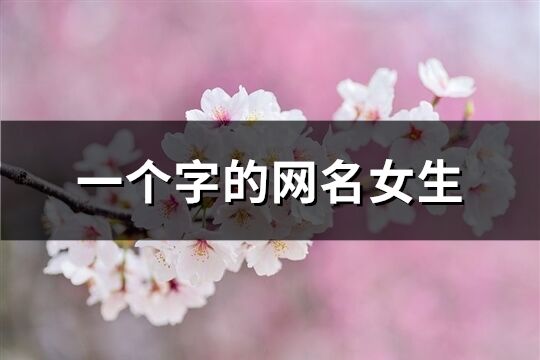 一个字的网名女生(精选227个)