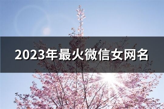 2023年最火微信女网名(共661个)