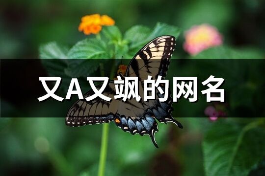 又A又飒的网名(精选126个)
