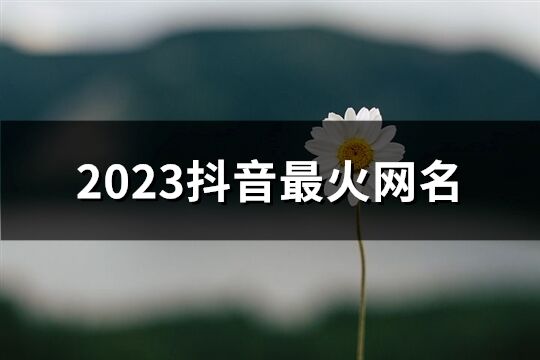 2023抖音最火网名(优选614个)