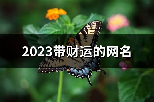 2023带财运的网名(共654个)