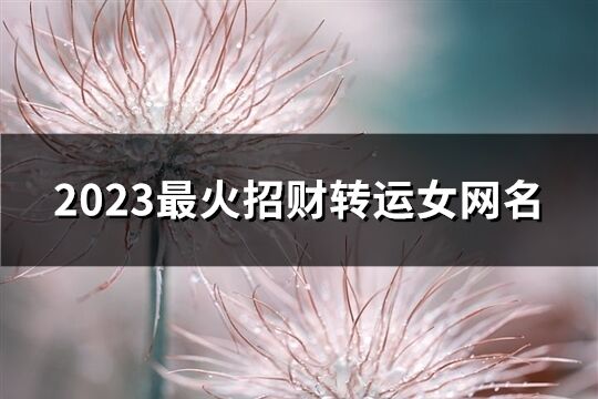2023最火招财转运女网名(1000个)
