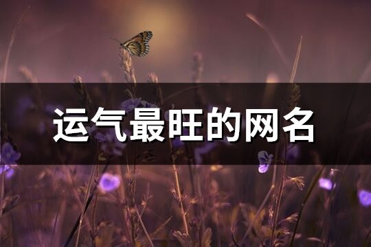 运气最旺的网名(精选593个)