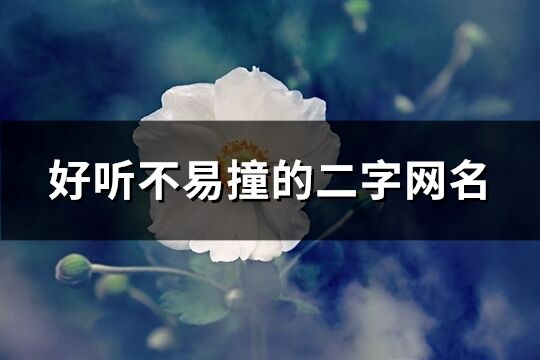 好听不易撞的二字网名(精选939个)