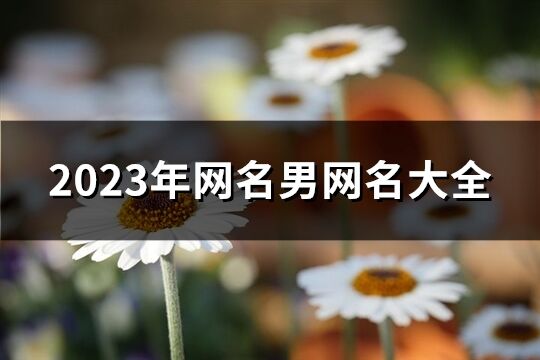 2023年网名男网名大全(精选1054个)
