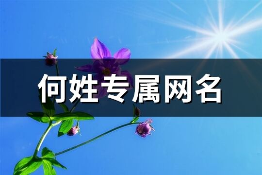 何姓专属网名(共151个)