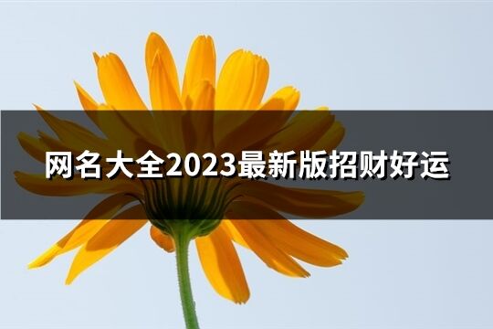 网名大全2023最新版招财好运(628个)