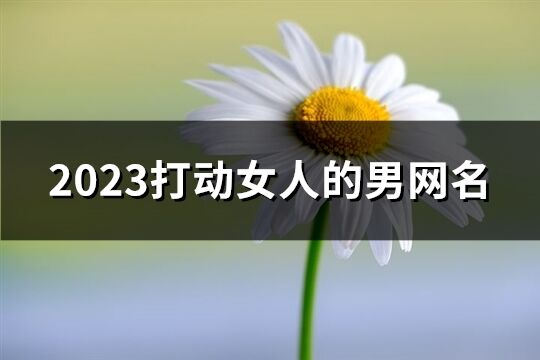 2023打动女人的男网名(共260个)