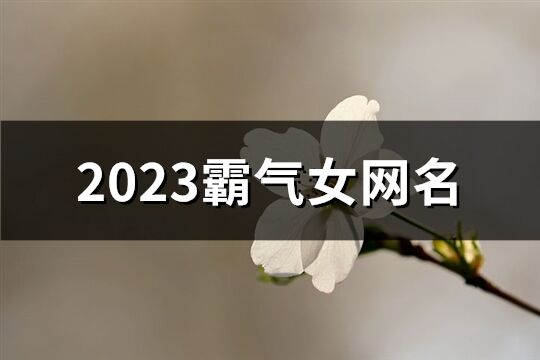 2023霸气女网名(优选885个)