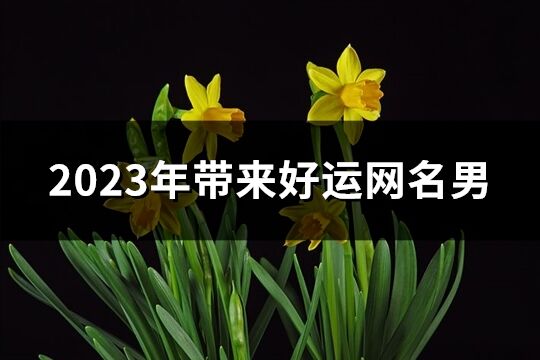 2023年带来好运网名男(优选850个)