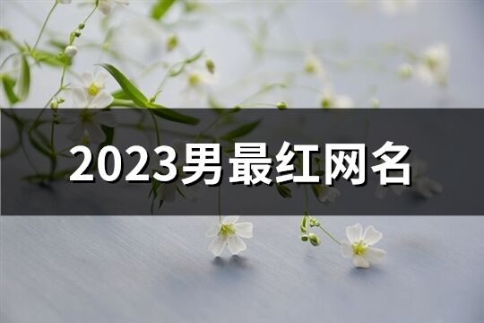 2023男最红网名(535个)