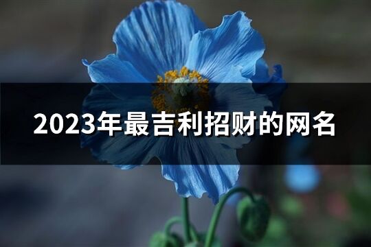 2023年最吉利招财的网名(优选671个)