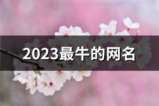 2023最牛的网名(1059个)