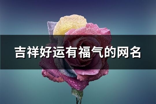 吉祥好运有福气的网名(共352个)