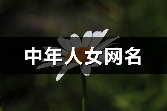 中年人女网名(共461个)