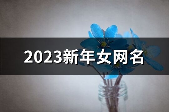 2023新年女网名(1372个)