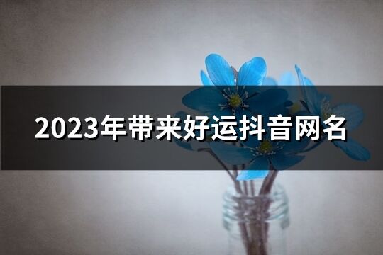 2023年带来好运抖音网名(优选1126个)