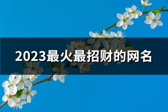 2023最火最招财的网名(优选1231个)