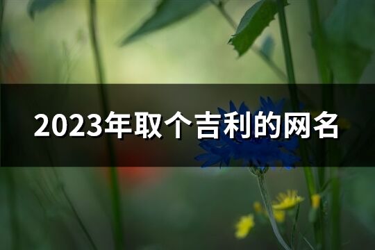 2023年取个吉利的网名(优选858个)