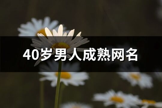 40岁男人成熟网名(优选315个) 40岁男人成熟网名(优选315个)