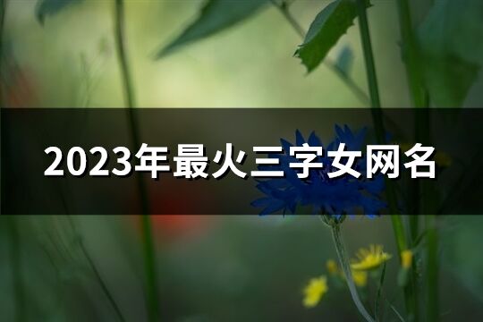 2023年最火三字女网名(共694个)