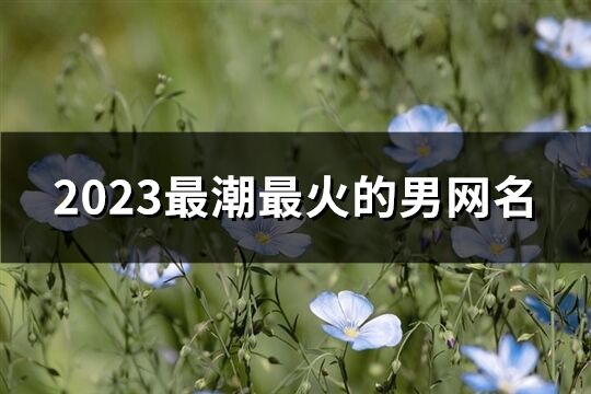 2023最潮最火的男网名(共749个)