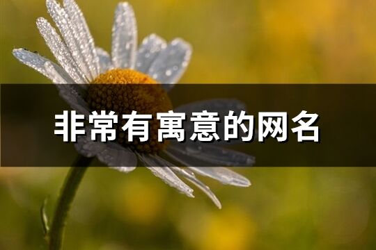 非常有寓意的网名(优选507个)