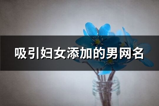 吸引妇女添加的男网名(共183个)