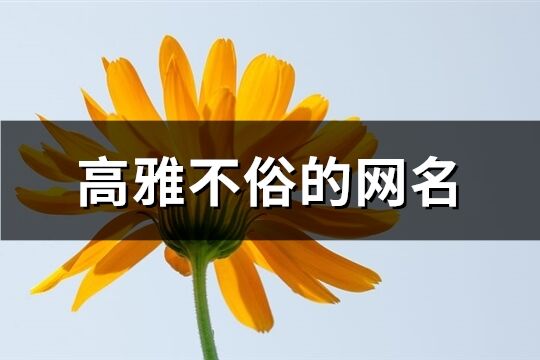 高雅不俗的网名(优选298个)