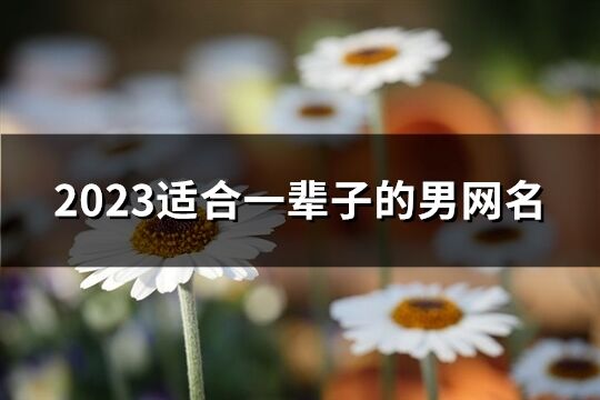 2023适合一辈子的男网名(优选809个)