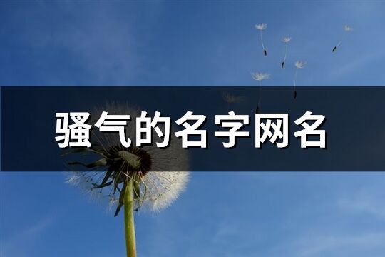 骚气的名字网名(精选190个)